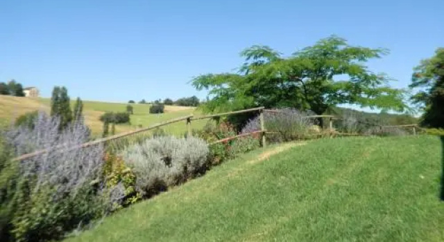 Holiday home Pech de la Peyriere, Réserver Appartement Appartements à Tarn-et-Garonne, Appartement