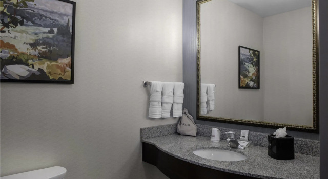 Номер Standard Hilton Garden Inn Denison/Sherman/At Texoma Event Center
