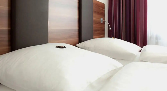 Двухместный номер Comfort Hotel Sentio