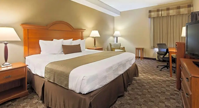 Одноместный номер Standard Best Western Plus Oak Mountain Inn