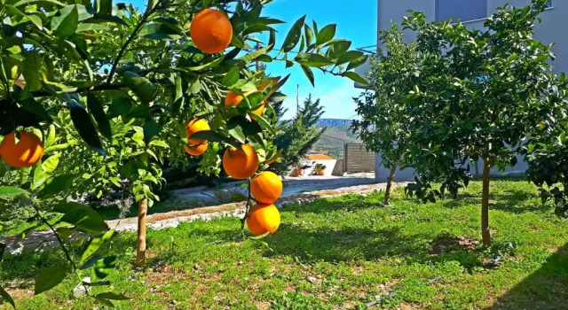 Студия Minimal Studio in Nature, Exostis Nafplio