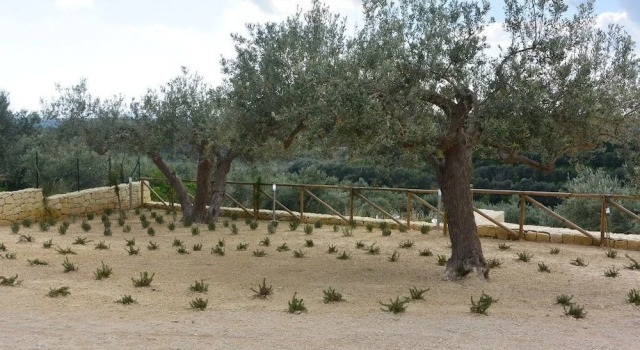 Villa Gioielli, Book Villa Hotels in Sicily with Parking, Parking