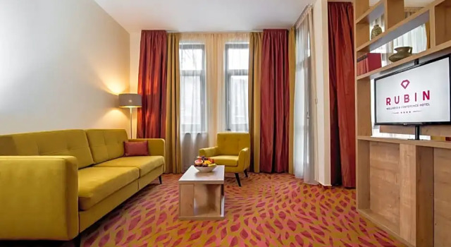 Номер Deluxe Rubin Wellness & Conference Hotel