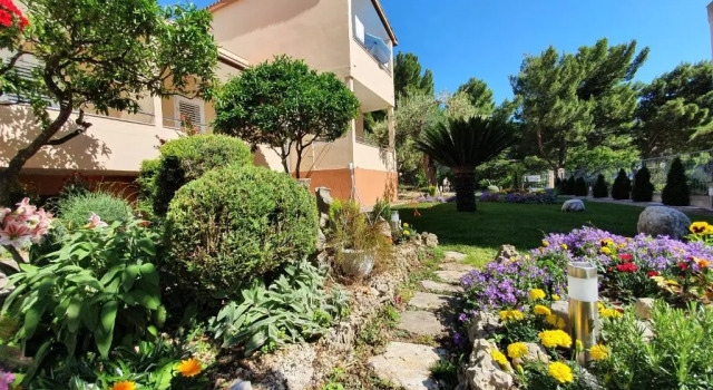 Студия Guest House Antonia