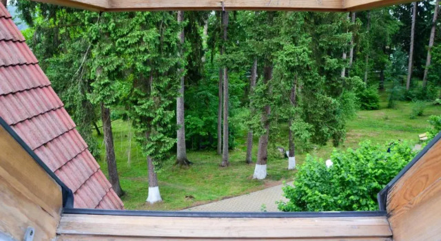 Номер Superior Pensiunea Happy Inn