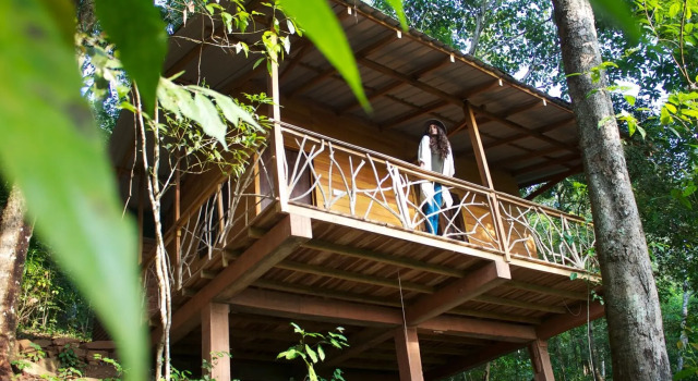 Номер Deluxe Polwaththa Eco Lodges