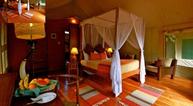 Mara Leisure Camp, Buchen Sie Hotel Hotels & Unterkünfte in Masai Mara, Hotel