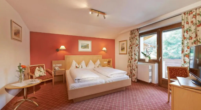 Двухместный номер Standard Hotel Steiger