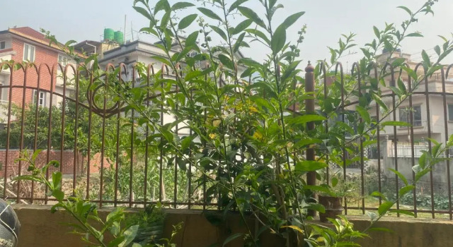 Номер Standard Mums Homestay & Apartment-A Real Home Experience