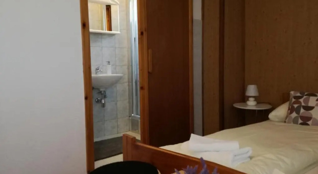 Двухместный номер Standard Guesthouse Šebalj