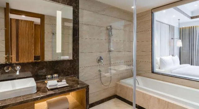 Полулюкс Standard Radisson Bhopal
