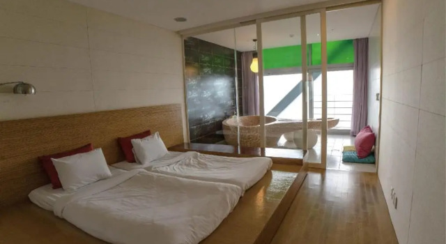 Двухместный полулюкс Haslla Art World Museum Hotel