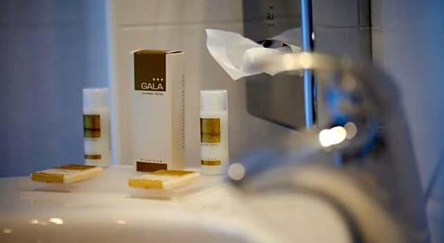 Номер Standard Hotel Gala