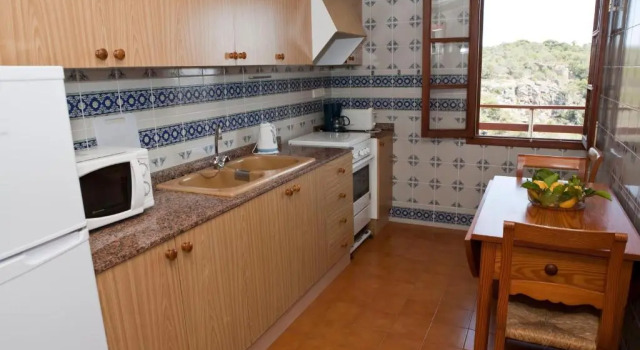 Апартаменты c 1 комнатой Apartamentos Llevant