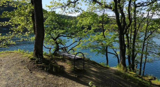 Top Ferienwohnung Am Diemelsee, Sauerland Nahe Willingen Winterberg, Забронировать Отель  