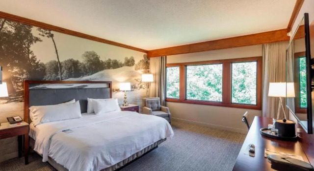Номер Standard Montgomery Marriott Prattville Hotel & Conference Center at Capitol Hill