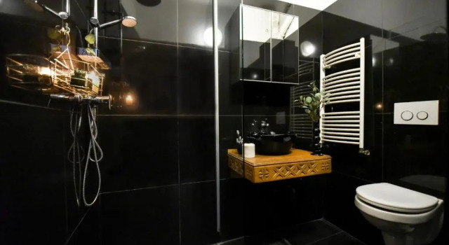 Апартаменты The Brancovanian Apartment - Cismigiu Park