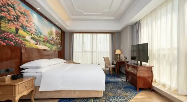 Люкс Business Vienna International Hotel(Lecong Center Branch)