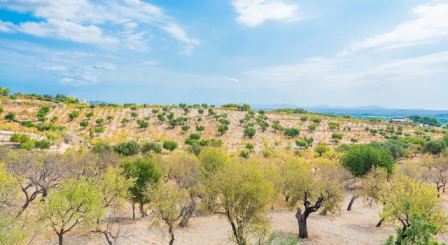 Вилла Sa Mata - Villa With Private Pool In Campanet