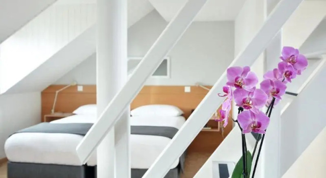 Студия Дуплекс с балконом Hotel des Alpes