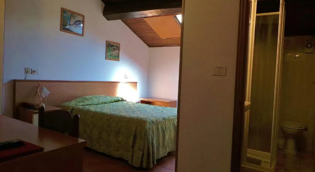 Двухместный номер Standard Hotel Roma