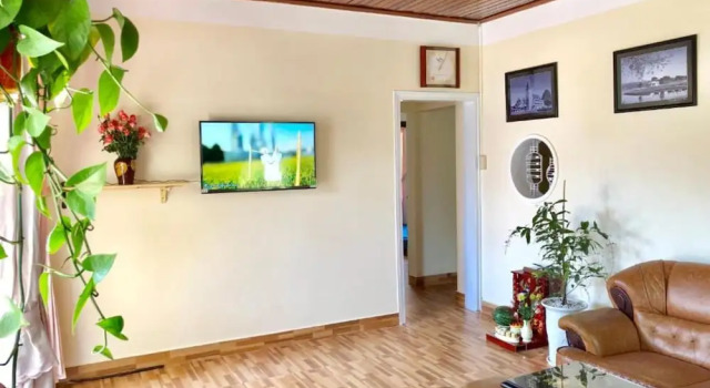 Pine Tree House Da Lat