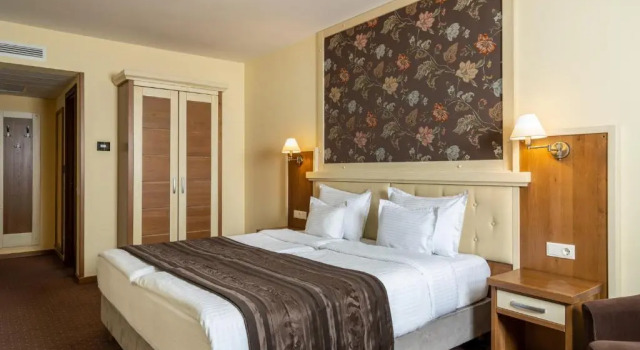Standardowy dwuosobowy pokój Hotel Leul de Aur