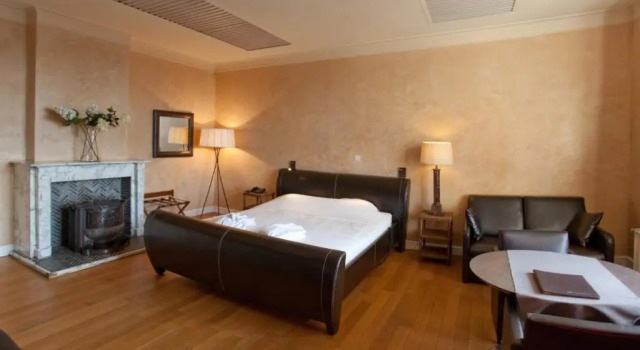 Двухместный номер Deluxe Hotel Orion