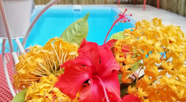 Бунгало Deluxe с 2 комнатами Casa De Leela Self Catering Guest House