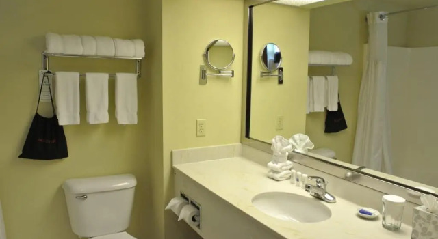 Четырёхместный номер Standard с видом на поле для гольфа Best Western Plus Plaza by the Green