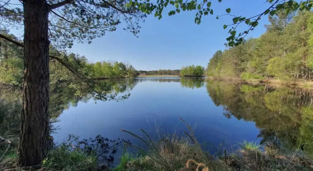 Коттедж c 1 комнатой Domaine de la Trigalière