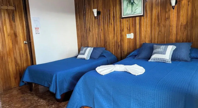 Двухместный номер Standard c 1 комнатой Monteverde Ecolodge