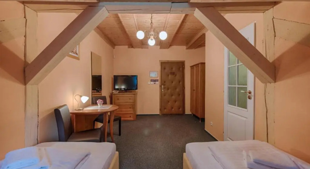 Номер Economy Hotel Zlatý Orel