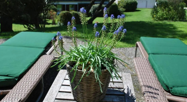 Sonniges Appartement am Tegernsee, Rezervasyon Daire Irschen Bavyera