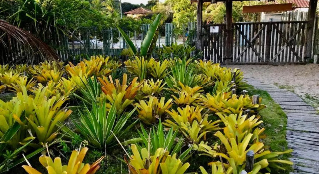 Номер Standard Pousada Terra Caraiva