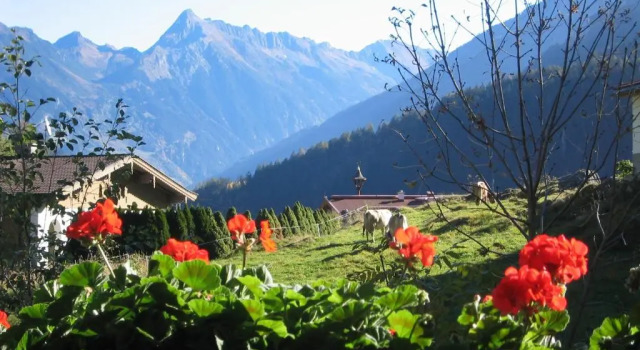 Номер Standard Pension Glockenstuhl