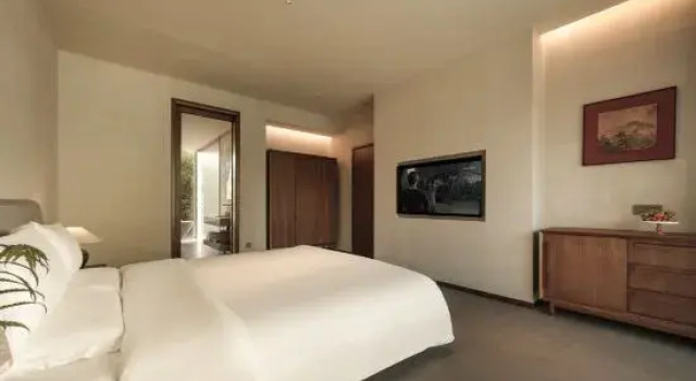 Люкс Lezhi Yunshen Resort