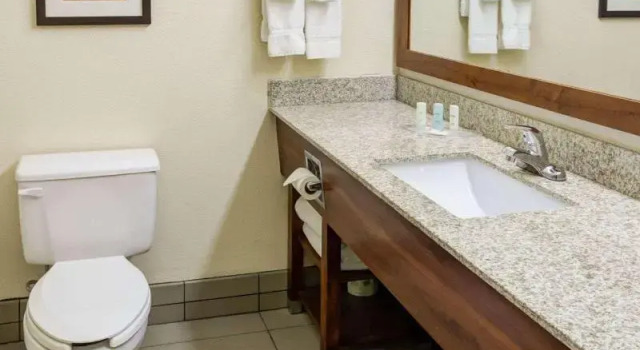 Номер Standard Comfort Suites Kansas City-Liberty