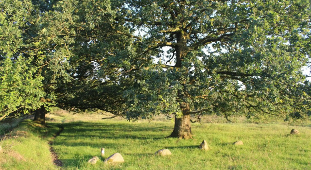 't Hoeske, Varaa Hotelli Exloo Drenthe