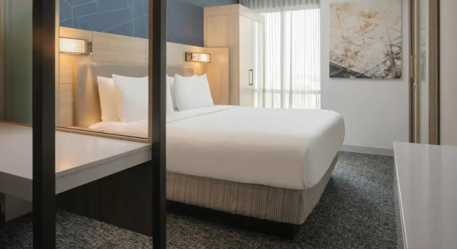 Двухместный люкс SpringHill Suites by Marriott Tampa Downtown
