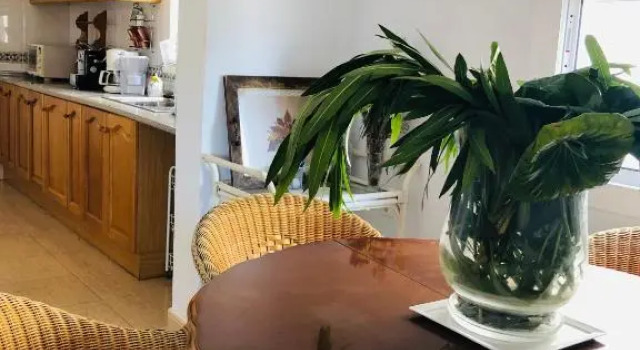 Villa 5 Suites ALICANTE, Boek Villa Monforte del Cid Valencia