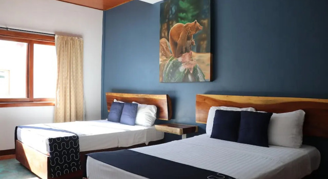 Люкс Standard Hotel Samanu