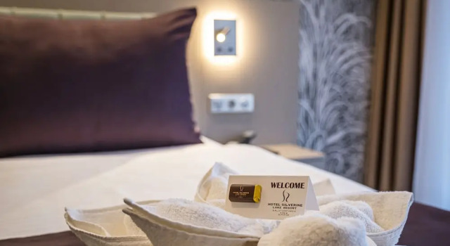 Двухместный номер Premium с балконом Hotel Golden Lake Resort