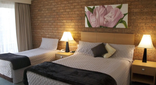 Двухместный номер Standard Nagambie Motor Inn and Conference Centre