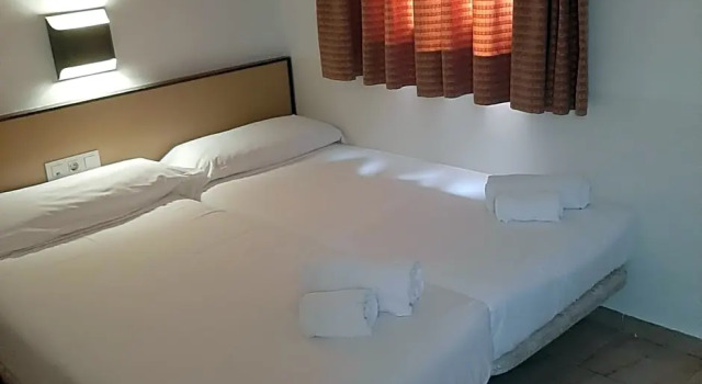 Одноместный номер Budget Hotel Monegal