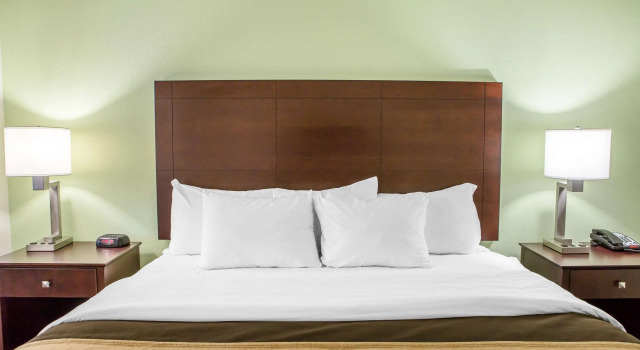 Двухместный номер Standard Comfort Inn Lexington South
