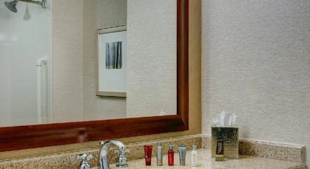 Номер Standard The Woodlands Waterway Marriott Hotel and Convention Center
