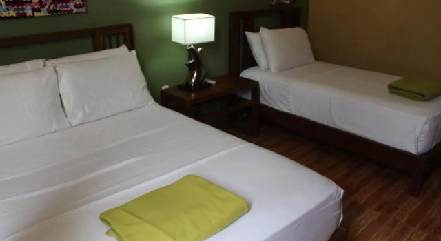 Семейный номер Standard The Purple Tree Bed & Breakfast