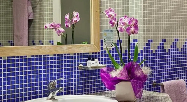 Двухместный номер Standard Hotel Libyssonis