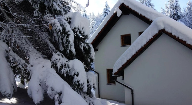 Sweet Stay Forest House